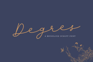 Beautiful Script Font for Web Design