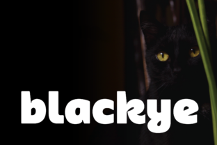 Blackye: A Bold Sans Serif for Web Design