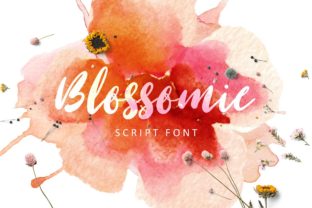Blossomie: A Font That Speaks Volumes