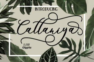 Cattaniya: A Fresh Handmade Calligraphy Font