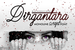 Dirgantara Font for Web Design