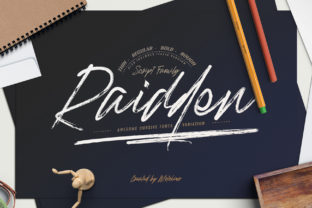 Raidden Family: A Modern Handwritten Typeface