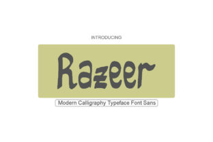 Razeer: A Playful Font for Creative Campaigns