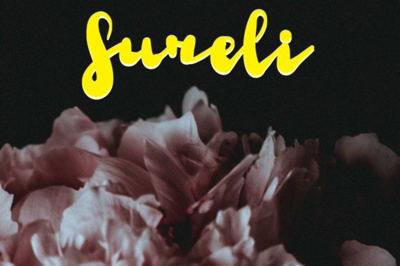 Sureli: A Stylish Font for Small Businesses