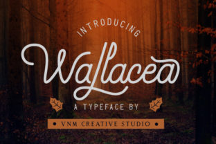 Wallacea: A Bold Handwritten Font